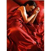 Red Satin Double Duvet Cover, Fitted Sheet and 4 Pillowcases Bedding