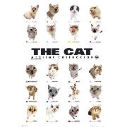 The Cat Collection Maxi Poster GN0179