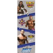 Wwe Smackdown Door Poster DP0196