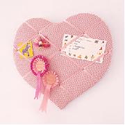 Gingham Pin Board