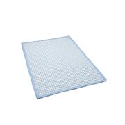 Blue Gingham Rug